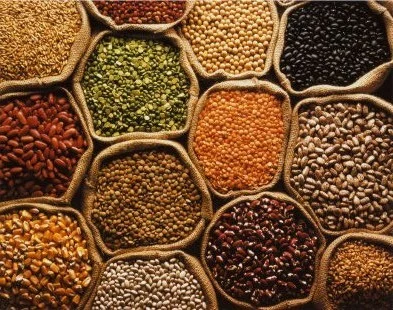 Pulses & Grains
