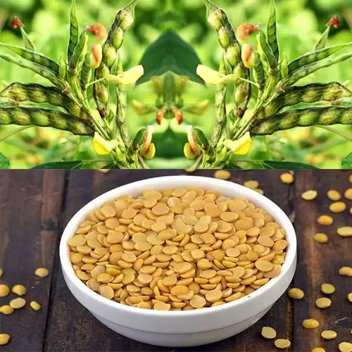 Organic Toor Dal (Arhar)